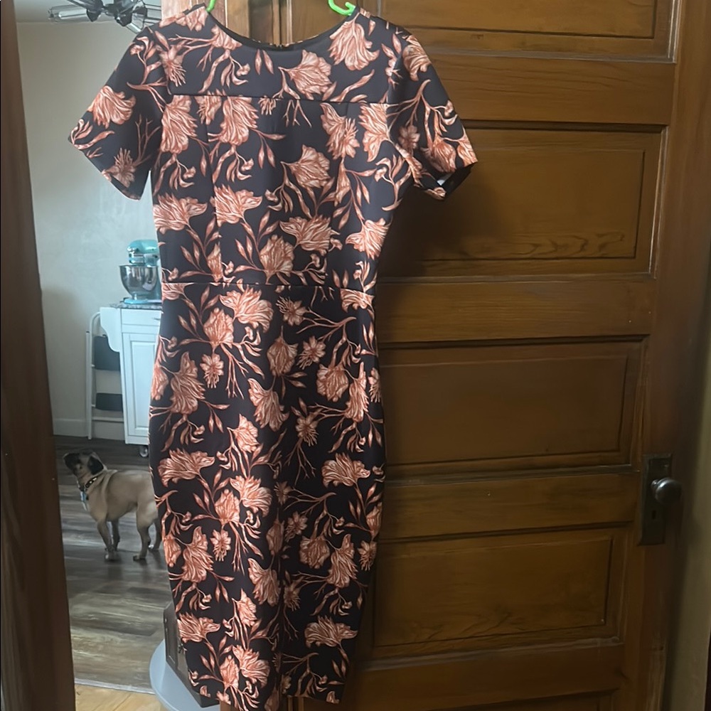 Alexia Admor Orange & Black Sheath Midi Dress for Weddings